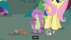 Size: 638x359 | Tagged: animal, bird, boris yeltsin, caption, chipmunk, derpibooru import, dragonshy, edit, edited screencap, ferret, fluttershy, meme, mouse, rabbit, safe, screencap, spike, squirrel, weasel, youtube caption