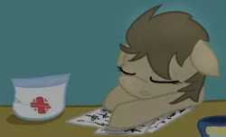 Size: 593x358 | Tagged: artist:lilliesinthegarden, derpibooru import, desk, doctor whooves, exhausted, hat, night, nurse turner, paper, safe, sleeping, solo, time turner