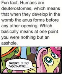 Size: 397x473 | Tagged: anus, derpibooru import, exploitable meme, fluttershy, funny, idw, meme, nature is so fascinating, nudity, obligatory pony, safe, text, vulgar