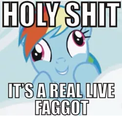 Size: 307x291 | Tagged: caption, derp, derpibooru import, image macro, op is a faggot, rainbow dash, reaction image, safe, slur, solo, text, vulgar