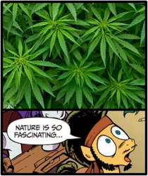 Size: 397x473 | Tagged: derpibooru import, drugs, edit, exploitable meme, flax seed, flax seed looks at stuff, idw, marijuana, meme, nature is so fascinating, obligatory pony, safe