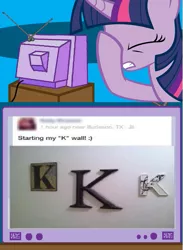 Size: 563x771 | Tagged: safe, derpibooru import, twilight sparkle, exploitable meme, facebook, facehoof, fail, ku klux klan, meme, obligatory pony, tv meme, wall