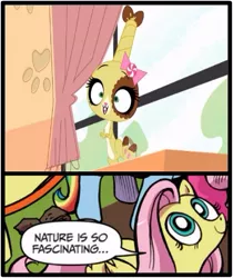 Size: 397x473 | Tagged: buttercream sunday, derpibooru import, exploitable meme, fluttershy, littlest pet shop, meme, nature is so fascinating, obligatory pony, safe