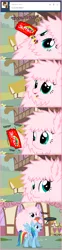 Size: 660x2655 | Tagged: artist:mixermike622, ask, candy, cannibalism, derpibooru import, food, obvious punchline, oc, oc:fluffle puff, rainbow dash, safe, skittles, tumblr, tumblr:ask fluffle puff