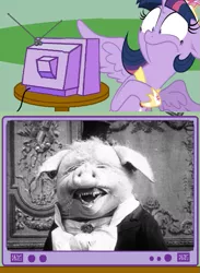 Size: 563x771 | Tagged: semi-grimdark, derpibooru import, twilight sparkle, twilight sparkle (alicorn), alicorn, pony, exploitable meme, female, mare, meme, nightmare fuel, obligatory pony, scared, the dancing pig, tv meme