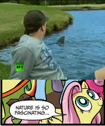 Size: 393x473 | Tagged: australia, bull shark, derpibooru import, exploitable meme, fluttershy, golf course, idw, meme, nature is so fascinating, obligatory pony, russia today, safe, shark