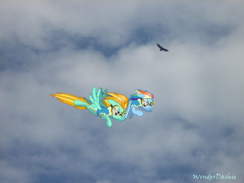 Size: 2560x1920 | Tagged: safe, artist:wonderdashie, derpibooru import, lightning dust, rainbow dash, bird, eagle, pegasus, pony, clothes, female, flying, goggles, irl, mare, photo, ponies in real life, sky, uniform, vector, wonderbolt trainee uniform