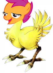 Size: 1473x2000 | Tagged: bird, chickun, chocobo, derpibooru import, exploitable meme, faic, final fantasy, forced meme, meme, safe, scootaloo, solo