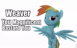 Size: 960x600 | Tagged: 3d, artist:pinkie diane roosevelt phd, clapping, derpibooru import, gmod, rainbow dash, reaction image, safe, solo, vulgar, weaver you magnificent bastard