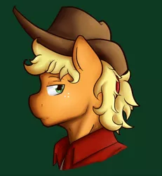 Size: 1000x1080 | Tagged: anthro, applejack, applejack (male), artist:nolycs, derpibooru import, profile, rule 63, safe, simple background, solo