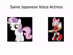 Size: 960x720 | Tagged: amy rose, crossover, derpibooru import, exploitable meme, japanese, meme, safe, same voice actor, sonic the hedgehog (series), sweetie belle, taeko kawata