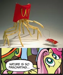 Size: 394x472 | Tagged: derpibooru import, exploitable meme, fluttershy, food, french fries, idw, ketchup, mcdonald's, meme, nature is so fascinating, obligatory pony, safe, sauce, this edit..., wat