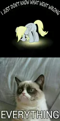 Size: 600x1200 | Tagged: safe, derpibooru import, derpy hooves, pegasus, pony, caption, female, grumpy cat, i just don't know what went wrong, image macro, mare, text