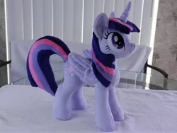 Size: 4000x3000 | Tagged: safe, artist:equestriaplush, derpibooru import, twilight sparkle, twilight sparkle (alicorn), alicorn, pony, female, irl, mare, photo, plushie