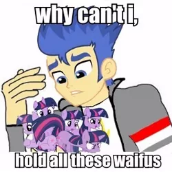 Size: 300x300 | Tagged: caption, clones, derpibooru import, exploitable meme, flash sentry, image macro, meme, micro, multeity, safe, sparkle sparkle sparkle, text, twilight sparkle, waifu, waifu thief, why can't i hold all these x