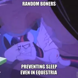 Size: 624x624 | Tagged: suggestive, derpibooru import, edit, edited screencap, screencap, twilight sparkle, twilight sparkle (alicorn), alicorn, pony, equestria girls, equestria girls (movie), bed, caption, female, image macro, implied erection, mare, meme, pillow, solo, spread wings, text, wingboner, wings