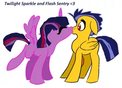 Size: 900x647 | Tagged: safe, artist:calicopikachu, derpibooru import, flash sentry, twilight sparkle, ponified, alicorn, pony, equestria girls, equestria girls (movie), equestria girls ponified, female, flashlight, male, shipping, straight