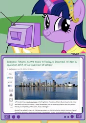 Size: 564x800 | Tagged: safe, derpibooru import, twilight sparkle, twilight sparkle (alicorn), alicorn, pony, exploitable meme, faic, florida, meme, obligatory pony, smirk, tv meme, twiface