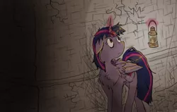 Size: 792x504 | Tagged: safe, artist:haxthewolf, derpibooru import, twilight sparkle, twilight sparkle (alicorn), alicorn, pony, amnesia the dark descent, crossover, dark, female, lamp, mare, solo