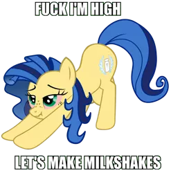 Size: 700x708 | Tagged: suggestive, derpibooru import, oc, oc:milky way, unofficial characters only, earth pony, pony, big crotchboobs, breasts, caption, crotchboobs, drugs, exploitable meme, female, fuck i'm high, high, huge crotchboobs, image macro, impossibly large crotchboobs, iwtcird, mare, meme, nudity, scrunchy face, sideboob, solo, stretching, text, vulgar