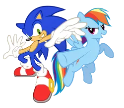 Size: 6900x6000 | Tagged: absurd resolution, artist:geonine, crossover, derpibooru import, rainbow dash, request, safe, simple background, sonic the hedgehog, sonic the hedgehog (series), transparent background, vector