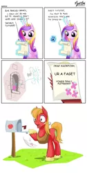 Size: 1100x2178 | Tagged: safe, derpibooru import, big macintosh, fluttershy, princess cadance, earth pony, pony, faggot, fluttershy's letter, forced meme, male, meme, misspelling, shocked, slur, stallion, ur a faget, vulgar