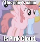 Size: 137x142 | Tagged: safe, derpibooru import, pink cloud (character), pony, fallout equestria, background pony, caption, fallout, image macro, lowres, roflbot, text