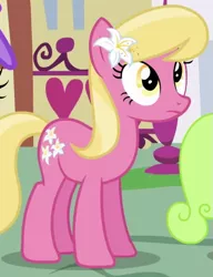 Size: 387x505 | Tagged: safe, derpibooru import, screencap, lily, lily valley, earth pony, pony, a friend in deed, background pony, cropped, female, flower, flower in hair, frown, lily (flower), mare, solo focus