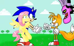 Size: 1680x1050 | Tagged: angry, artist:kaiamurosesei, commission, crossover, crossover shipping, derpibooru import, fluttershy, fluttersonic, miles "tails" prower, safe, shipping, sonic lost world, sonic the hedgehog, sonic the hedgehog (series), zazz, zeti