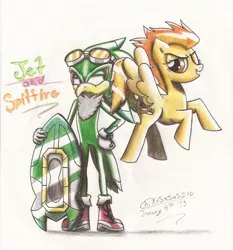 Size: 5100x5466 | Tagged: absurd resolution, artist:chikisxsxs210, commission, crossover, derpibooru import, jet the hawk, safe, sonic the hedgehog (series), spitfire, traditional art