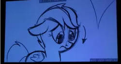 Size: 853x453 | Tagged: animatic, comic con, derpibooru import, flight to the finish, sad, safe, scootaloo, scootaloo can't fly, scootalove denied, season 4, solo, story reel