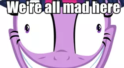 Size: 958x524 | Tagged: alice in wonderland, caption, cheshire cat, close-up, derpibooru import, image macro, insanity, safe, solo, text, twilight snapple, twilight sparkle, we're all mad here