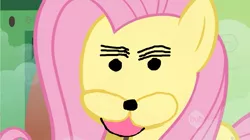 Size: 1023x574 | Tagged: safe, derpibooru import, fluttershy, solo, spurdo spärde