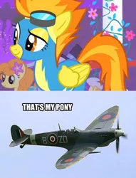 Size: 450x588 | Tagged: aircraft, caption, derpibooru import, fighter, image macro, meme, namesake, plane, raf, safe, spitfire, supermarine spitfire, text, that's my pony, that's my x