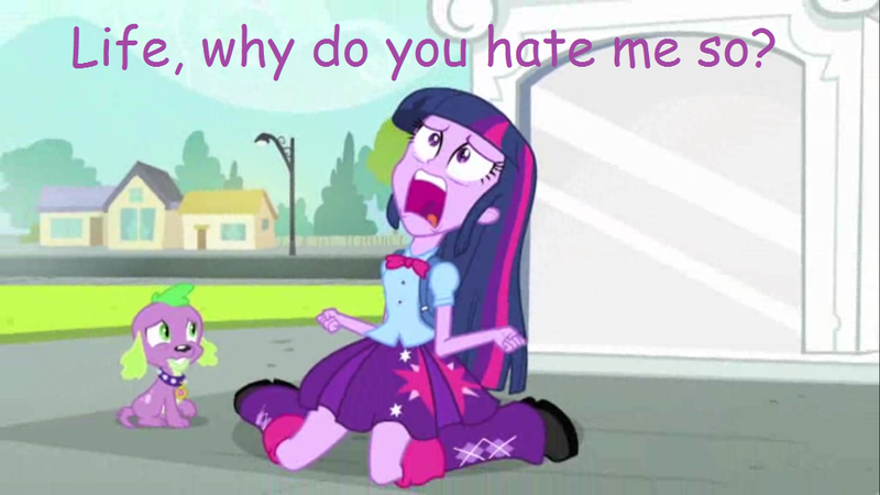 Size: 1067x600 | Tagged: safe, derpibooru import, edit, edited screencap, screencap, spike, twilight sparkle, dog, equestria girls, equestria girls (movie), comic sans, duo, exploitable meme, meme, spike the dog, total drama, total drama island, twiscream