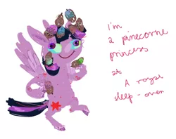 Size: 500x396 | Tagged: safe, artist:cygaj, derpibooru import, twilight sparkle, twilight sparkle (alicorn), alicorn, pony, female, joke that no one will get, mare, pinecone, sofia the first, solo