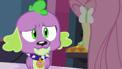Size: 610x343 | Tagged: safe, derpibooru import, screencap, fluttershy, rarity, spike, dog, equestria girls, equestria girls (movie), animated, boots, carousel boutique, faic, gif, happyshy, high heel boots, jewelry, shoes, smiling, so fucking happy, spike the dog