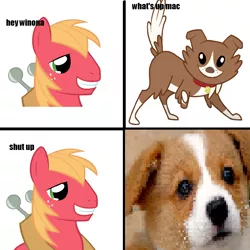 Size: 700x700 | Tagged: safe, derpibooru import, big macintosh, winona, corgi, dog, earth pony, pony, comic, jacques, jontron, king's quest v + mailmen, male, stallion, wat