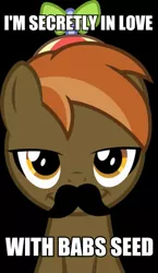 Size: 347x600 | Tagged: babs seed, button mash, buttonseed, button 'stache, caption, derpibooru import, facial hair, female, image macro, love, male, meme, moustache, safe, shipping, solo, straight, text