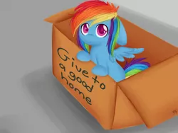 Size: 1024x768 | Tagged: safe, artist:chibimlp-lover, derpibooru import, rainbow dash, pegasus, pony, fanfic:my little dashie, :<, box, bronybait, cardboard box, colored pupils, cute, dashabetes, female, filly, filly rainbow dash, floppy ears, leaning, looking at you, looking up, mare, pony in a box, sad, solo, younger