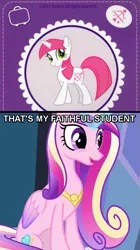 Size: 477x851 | Tagged: caption, derpibooru import, headcanon, image macro, lovestruck, meme, princess cadance, safe, text, that's my x