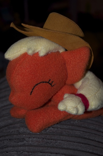 Size: 2848x4288 | Tagged: applejack, artist:blindfaith-boo, beanie (plushie), derpibooru import, irl, photo, plushie, safe