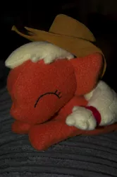 Size: 2848x4288 | Tagged: applejack, artist:blindfaith-boo, beanie (plushie), derpibooru import, irl, photo, plushie, safe