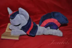 Size: 902x599 | Tagged: artist:blindfaith-boo, beanie (plushie), derpibooru import, irl, photo, plushie, safe, twilight sparkle