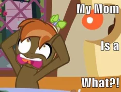 Size: 500x382 | Tagged: safe, derpibooru import, button mash, earth pony, pony, button's adventures, caption, colt, foal, hat, hooves, image macro, male, open mouth, propeller hat, revelation, solo, teeth, text