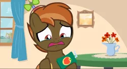Size: 1360x738 | Tagged: safe, derpibooru import, screencap, button mash, earth pony, pony, button's adventures, colt, crying, foal, hat, hooves, juice, juice box, male, open mouth, ponyville, propeller hat, sad, solo, window