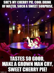 Size: 480x643 | Tagged: suggestive, artist:moronsonofboron, derpibooru import, cherry jubilee, pony, caption, cherry pie (song), clothes, image macro, irl, lyrics, panties, panties around leg, panties pulled down, photo, pink underwear, pole, ponies in real life, song reference, strip club, text, underwear, warrant