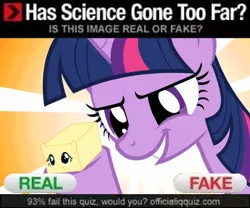 Size: 432x360 | Tagged: butter, derpibooru import, flutterbutter, fluttershy, food, has science gone too far?, literal buttershy, pun, real or fake, safe, science, twilight sparkle