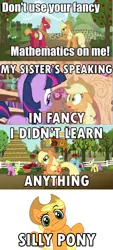 Size: 501x1111 | Tagged: safe, derpibooru import, applejack, big macintosh, twilight sparkle, pony, caption, fancy, fancy mathematics, i didn't learn anything, image macro, math, silly, silly pony, text, who's a silly pony