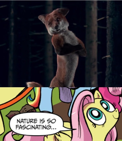 Size: 391x451 | Tagged: derpibooru import, exploitable meme, fluttershy, fox, idw, meme, nature is so fascinating, obligatory pony, safe, the fox, what does the fox say?, ylvis